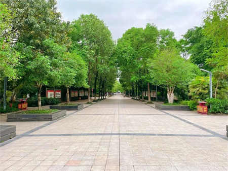 重庆市商务学校校园环境概览