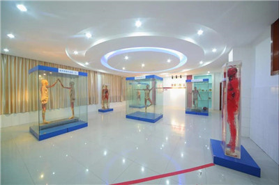 重庆市渝东卫校招生标准