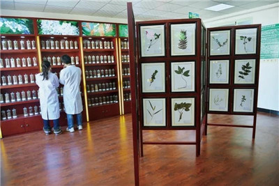 重庆公共卫生学校