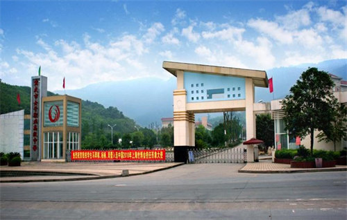 重庆市女子职业高级中学是职高吗？权威解析与全面揭秘