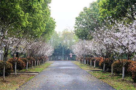 重庆五一技师学院2025年招生专业概览