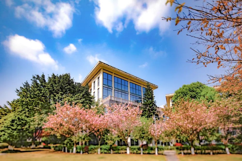 重庆财政学校是全日制的吗？