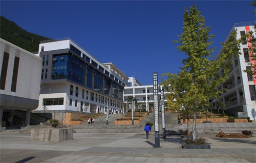 酉阳职业教育中心收费标准全解析：透明公正，助力学子成长