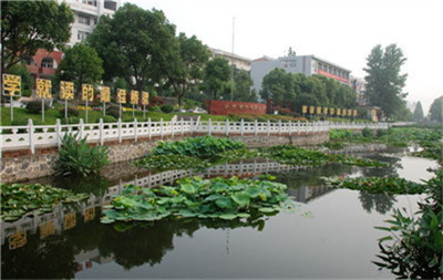 重庆市巫溪县职业教育中心是中专还是大专