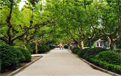 重庆市育才职业教育中心简介，概况