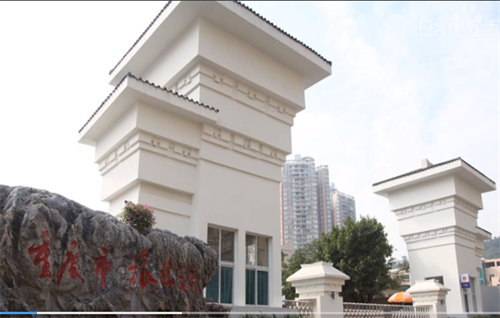 重庆市旅游学校深度评测：老牌名校的硬核实力与特色亮点