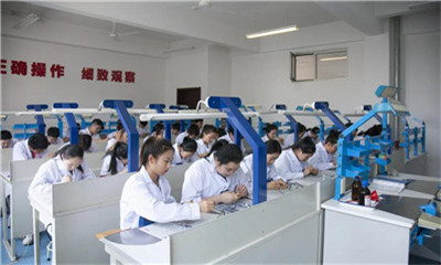 重庆南丁卫校简介