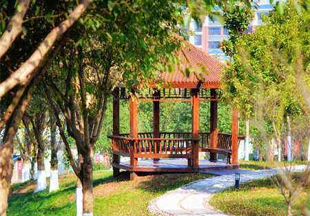 重庆轨道交通职业学校在哪里？——学校位置及优势解析