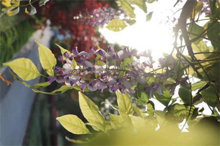 巫山职教中心2025年报名条件解析