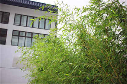 重庆市綦江职业技术学校2025年官网