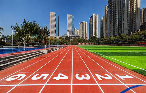 重庆市体育运动学校学校环境一