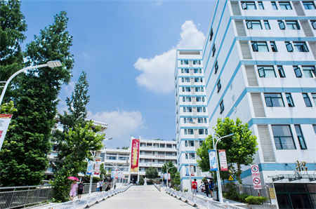 2025年重庆市交通职业学校最吃香的专业推荐:工艺美术、安全技术与管理、高速铁路乘务